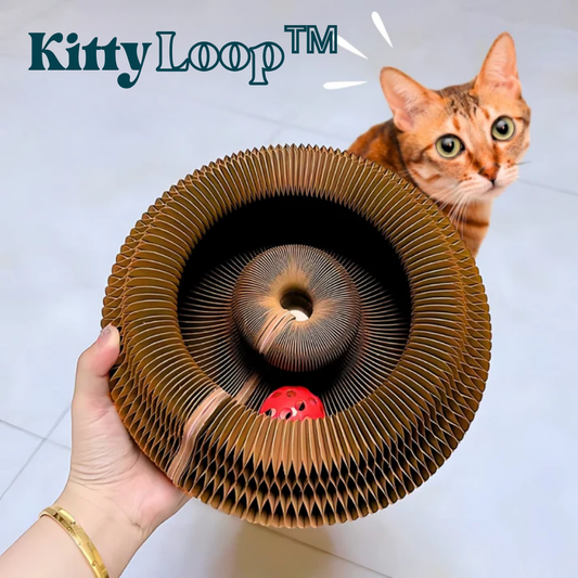 KittyLoop™ | Förvandla varje dag till ett äventyr – låt din katt leka, jaga och utforska nonstop!