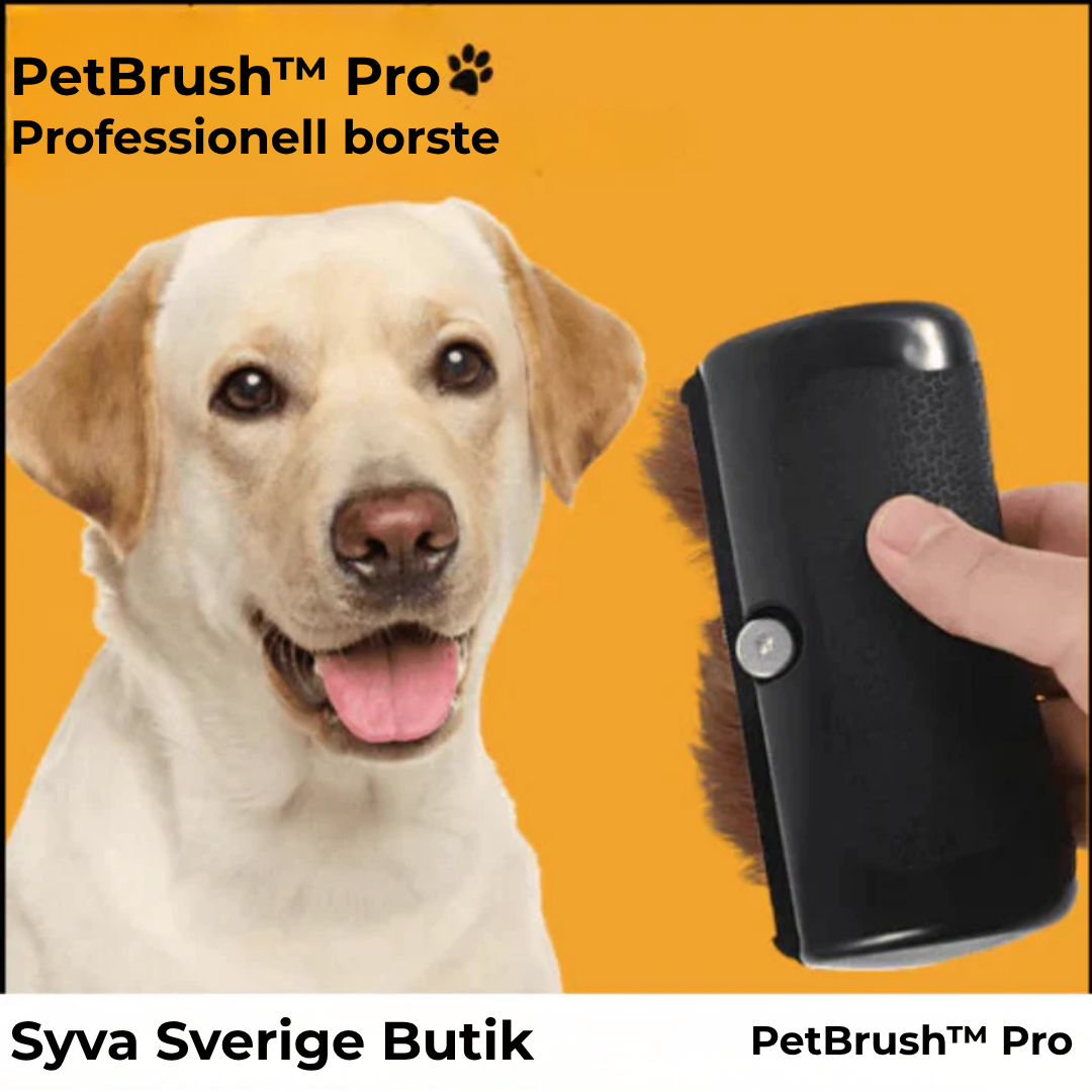 PetBrush™ Pro | Den ultimata hundborsten mot fällning och loppor