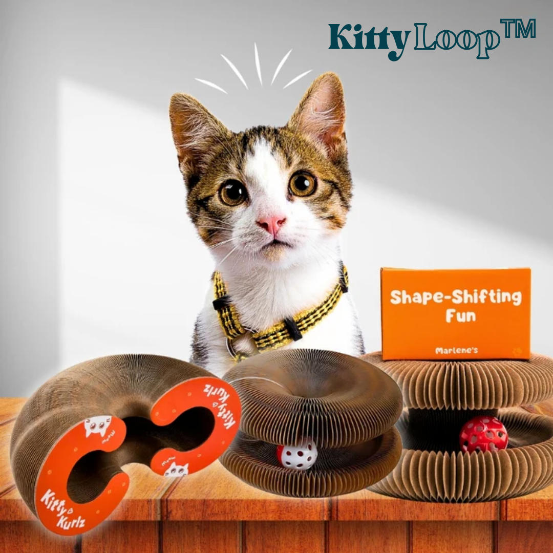 KittyLoop™ | Förvandla varje dag till ett äventyr – låt din katt leka, jaga och utforska nonstop!