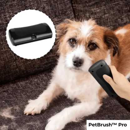 PetBrush™ Pro | Den ultimata hundborsten mot fällning och loppor