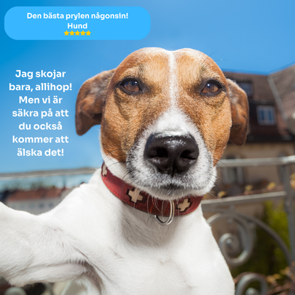 MagniSnap™ | Fotografera från alla vinklar i sommar!