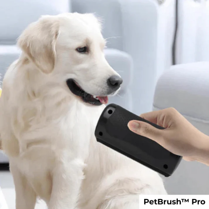 PetBrush™ Pro | Den ultimata hundborsten mot fällning och loppor