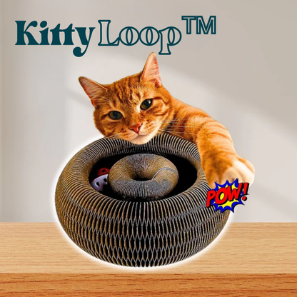 KittyLoop™ | Förvandla varje dag till ett äventyr – låt din katt leka, jaga och utforska nonstop!