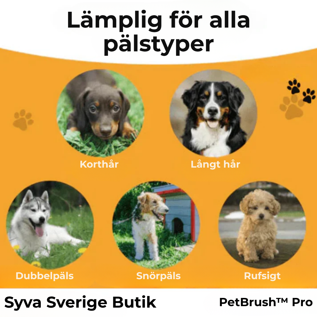 PetBrush™ Pro | Den ultimata hundborsten mot fällning och loppor